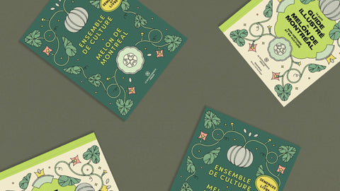 Melon de Montréal - Le nutritionniste urbain