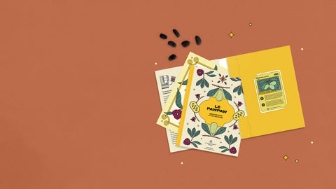 Découvrez le pawpaw!