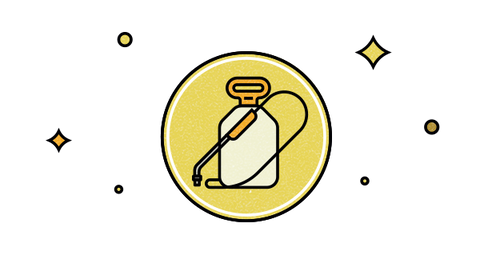 Semences cultivées sans pesticides ni engrais de synthèse