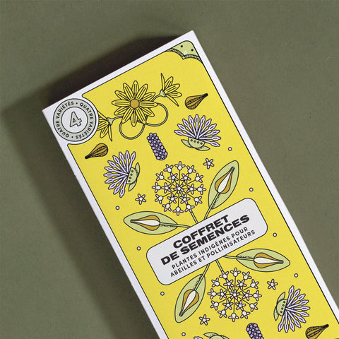 Plantes indigènes pour abeilles et pollinisateurs - Coffret de semences