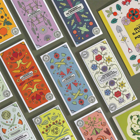 La collection de semences ultime (10 coffrets!) - Ensemble promo - Le nutritionniste urbain