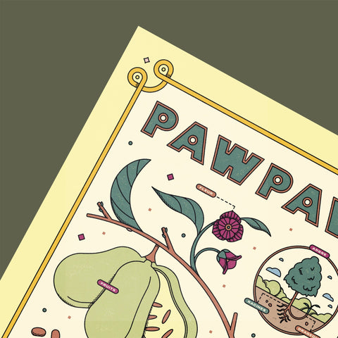 Pawpaw - Affiche - Le nutritionniste urbain
