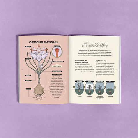 Ensemble de culture de safran (prévente) - Le nutritionniste urbain