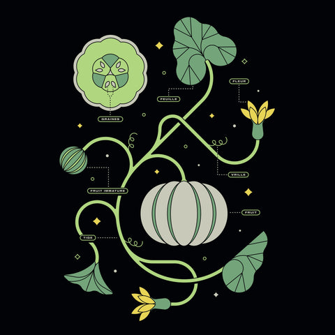 L'anatomie du melon - T-Shirt - Le nutritionniste urbain