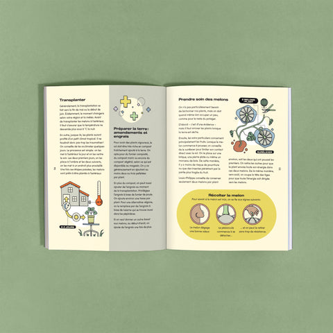 Melon de Montréal - Ensemble de culture - Le nutritionniste urbain