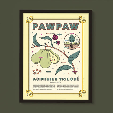 Pawpaw - Affiche - Le nutritionniste urbain