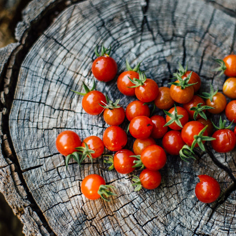 Collection patrimoine québécois #1 - Coffret de semences ancestrales - Le nutritionniste urbain - tomate petit moineau