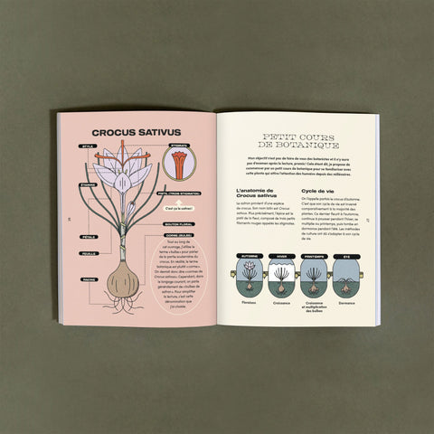 Le petit guide illustré du safran : du jardin à l'assiette - Livre - Le nutritionniste urbain
